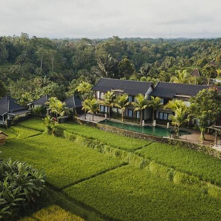 Pinggala Villa Ubud Payangan Dış mekan fotoğraf