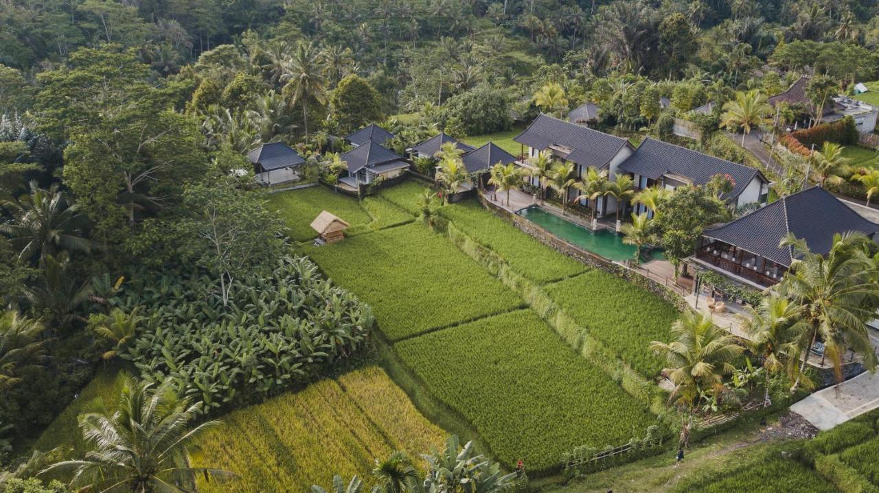 Pinggala Villa Ubud Payangan Dış mekan fotoğraf
